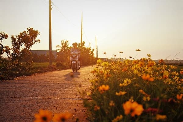 seguros para motos en campeche
